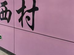 -向西村(地铁站)