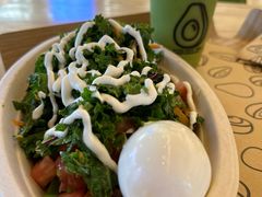 -油梨树AVOCADO TREE(嘉里中心店)