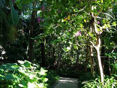 -三亚湾海居铂尔曼度假酒店