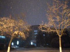 -安徽大学(龙河校区)