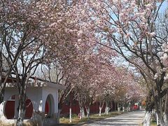 -天津市第二殡仪馆