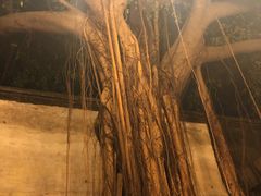 -文儒九号·闽菜馆(三坊七巷店)