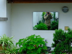 -翠田Green Field Kitchen