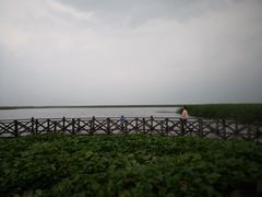 -哈素海