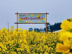 -宽田火锅(几江荣华店)