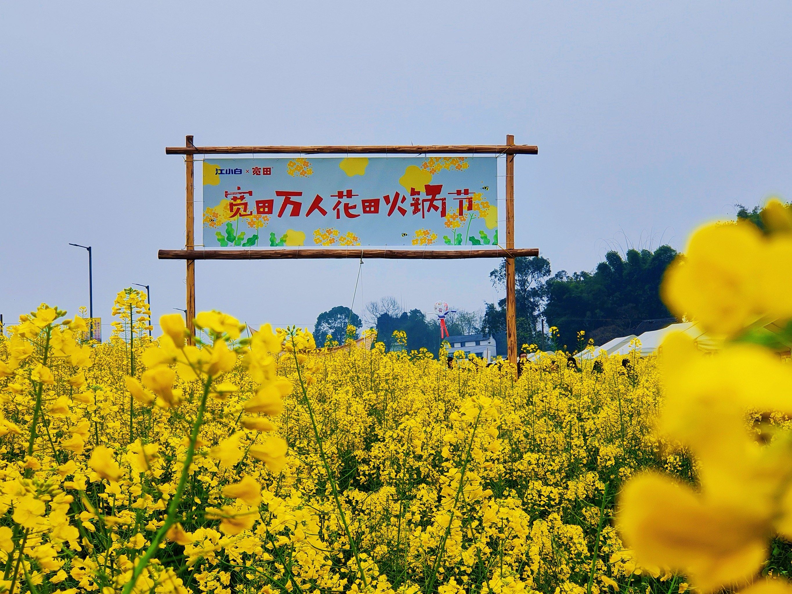 花田火锅