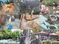 -宁波野生动物园