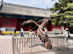 -大钟寺古钟博物馆