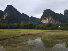 -明仕田园