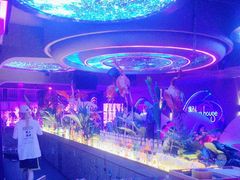 -古吉拉酒吧·蒲seven蹦