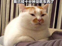 -上海市黄浦区牙病防治所(江西中路门诊部)