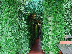 -顶层酒吧ROOF(上海艾迪逊酒店)