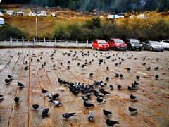 -达仓郎木寺院