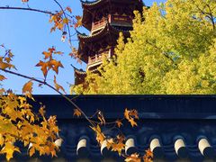 -龙华寺