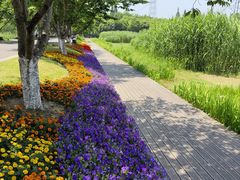 -长田漾湿地公园