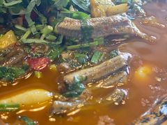 霍香鳝鱼-苏记溪河鲢鱼庄(天府新区店)