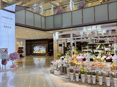 -吾悦广场(天津和平店)