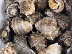 -宾朋海鲜特色美食餐厅·纯手工鲅鱼水饺(兴海路店)