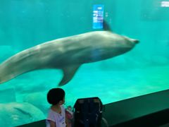 -福州罗源湾海洋世界旅游区