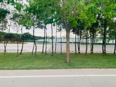 -露天矿生态公园