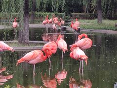 -石家庄市动物园