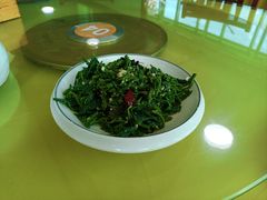 拌桑叶-驴百味(赵县店)