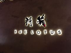 -几荷·恰似故人来(秀水广场店)