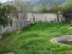 -西安秦岭野生动物园