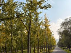 -汉长安城未央宫国家考古遗址公园