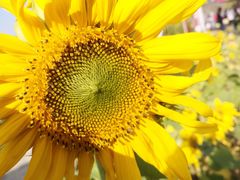 -维也纳酒店(桂林万福广场店)