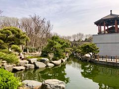 -中国唐苑