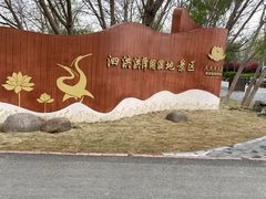 -泗洪洪泽湖湿地景区