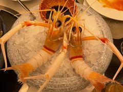 -斯普汇生蚝牛排馆(中骏世界城店)