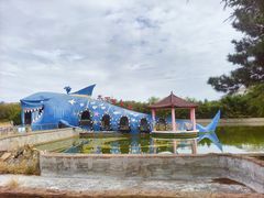 -日照海滨国家森林公园