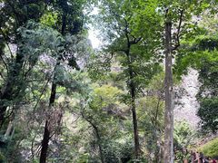 -雁荡山三折瀑景区