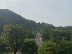 -美的鹭湖森林度假区