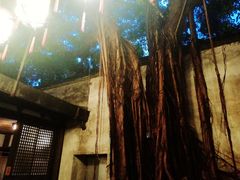 -文儒九号·闽菜馆(三坊七巷店)