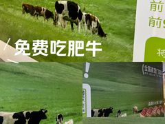 -天娱广场