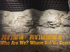 -国家自然博物馆