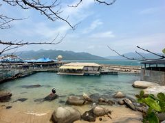 -海南分界洲岛旅游区