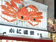 -蟹道乐(道顿堀本店)