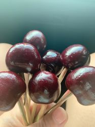 -CICI纤美·科技纤体美颜