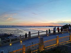 -宝安西湾红树林湿地公园