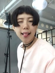 -大象造型