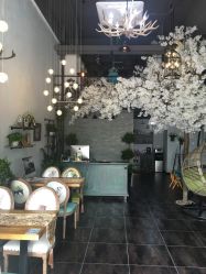 点击看大图 -美年亲子儿童摄影(合肥市滨湖新区金泉小区店)