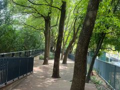 -苏州河梦清园环保主题公园