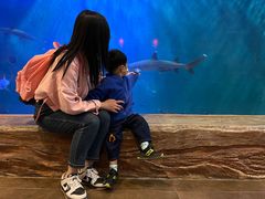 -华夏文旅海洋公园