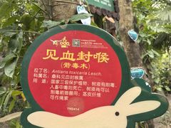 -呀诺达热带雨林