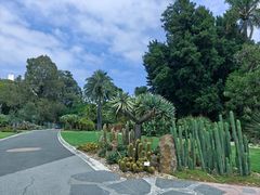 -墨尔本皇家植物园