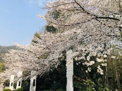 -杭州少年儿童公园